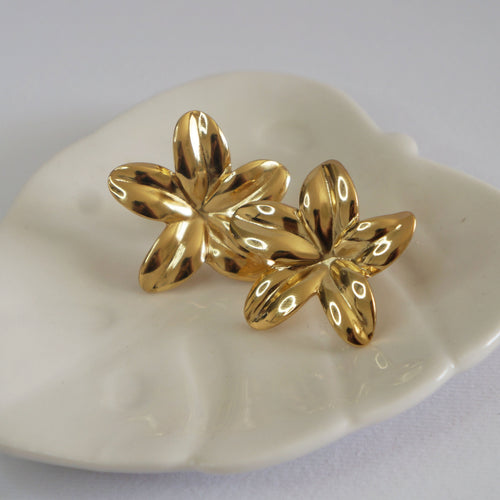 Aretes - Dulce