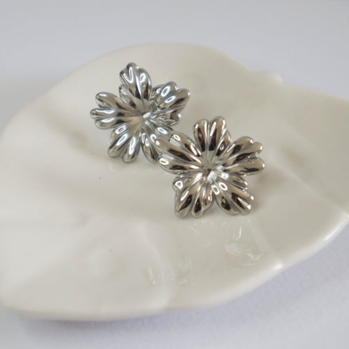 Aretes - Dulce