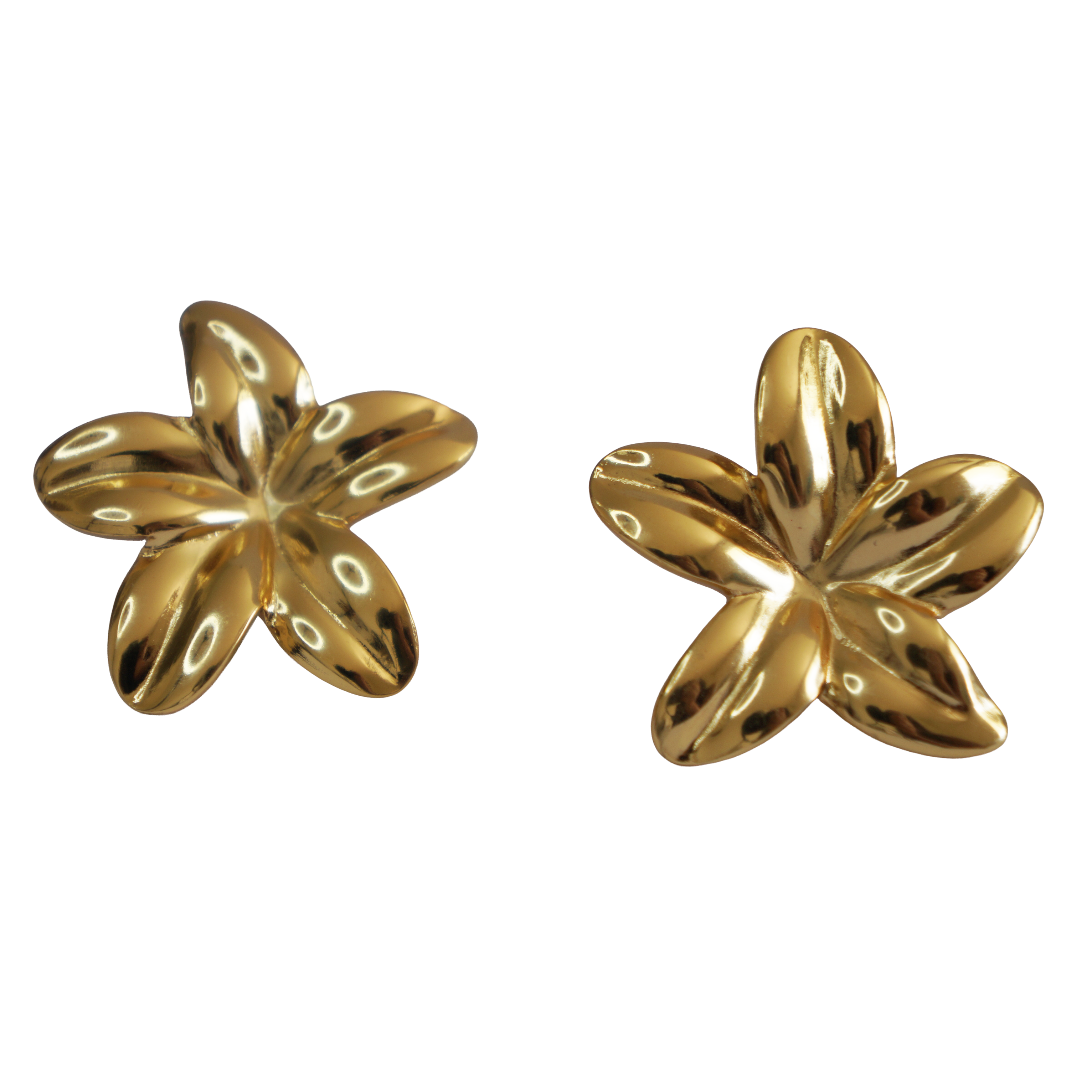 Aretes - Flower for you